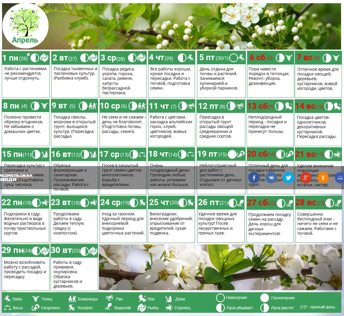 Лунный календарь на апрель 2024 года цветовода. Цветы для высадки рассады. Календарь посадки растений. Удачные даты для посадки цветов. График посадки растений.