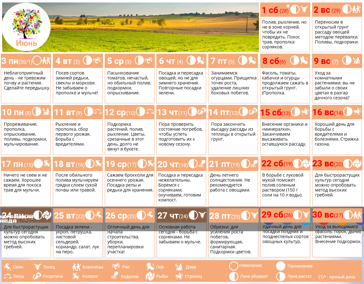Лунный календарь засолки. Календарь садовода на июнь. Календарь огородника на июнь. Лунный календарь на июнь. Лунный календарь на июнь огородника и садовода.