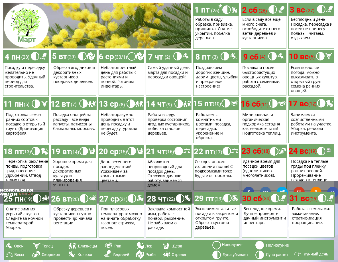 Хороший день для посадки цветов. Календарь посадки растений. Лунный календарь для цветов. Лунный календарь для комнатных растений. Лунный календарь посадки комнатных растений в марте